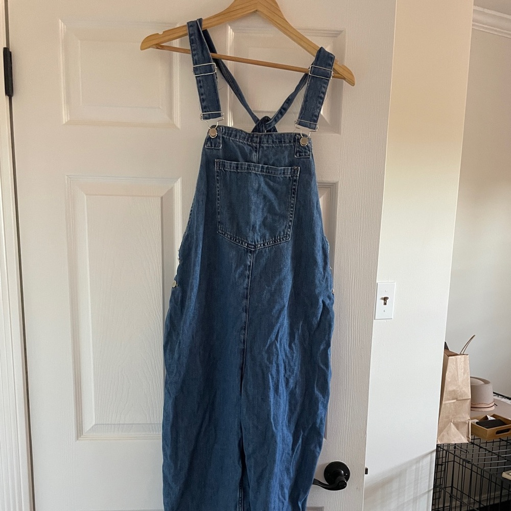 Zara denim overalls